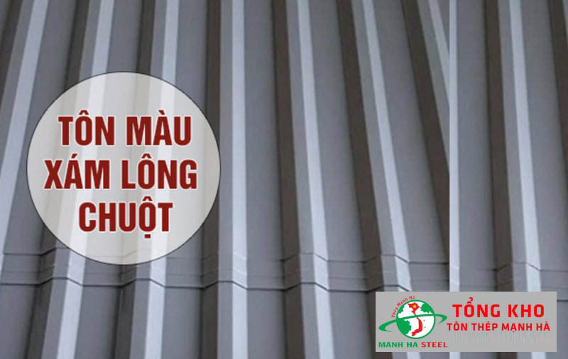 Bảng Báo Giá Tôn Màu Lông Chuột