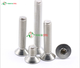 Bulông lục giác chìm bằng inox