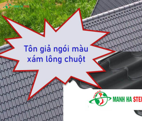Bảng Báo Giá Tôn Giả Ngói Màu Xám Lông Chuột