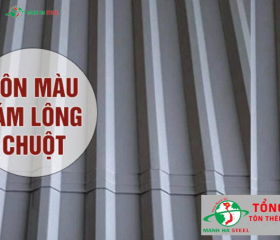 Bảng Báo Giá Tôn Màu Lông Chuột